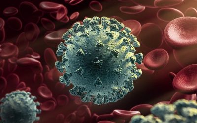Twice as many women as men are getting vaccinated for Covid-19 in the US