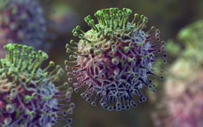 Flu ‘gathering speed’ across US as health officials and doctors prepare for a potentially rough season