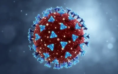 Study finds hybrid immunity or booster vaccination provides more protection against Omicron infections than full vaccination alone