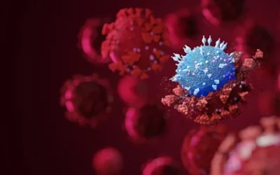 SARS-CoV-2 Omicron BA.2.75 replicates more efficiently than BA.2 or BA.5 sub-variants