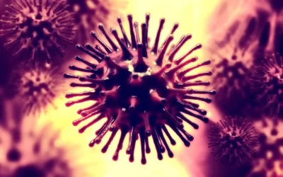 Interferon response induced by Omicron BA.1 and BA.5 prevents influenza A infection