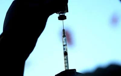 Pfizer asks FDA to greenlight new omicron booster shots, which could arrive this fall