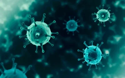 ‘Eighth wave of Covid imminent in France’ says health ministry